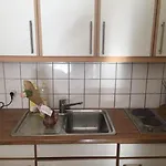 Cute Geneva Studio